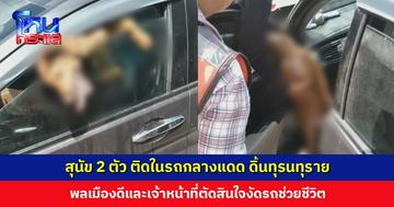 สุนัข 2 ตัว ติดในรถกลางแดดร้อนอบอ้าว ลิ้นห้อย ดิ้นทุรนทุราย พลเมืองดีพยายามช่วย จนท. ต้องงัดรถ 