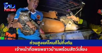 สารภี เชียงใหม่น้ำท่วมสูง เจ้าหน้าที่อพยพชาวบ้าน พร้อมน้องแมว-หมา-กระต่าย