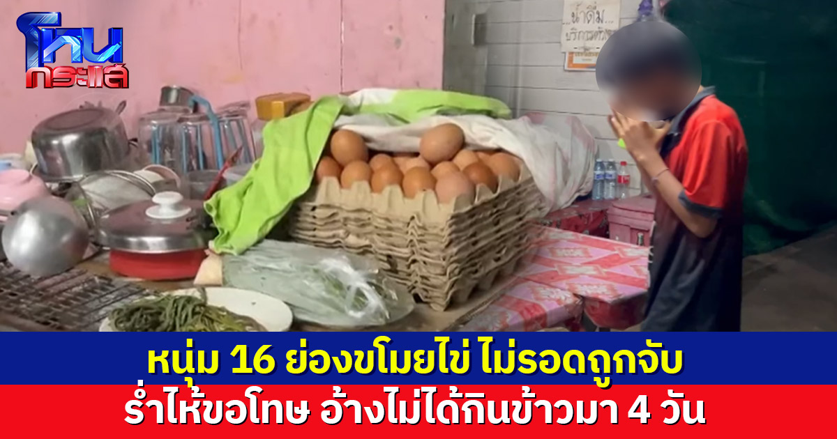 เหตุเกิดเพราะความหิว! จับหนุ่ม 16 ย่องขโมยไข่ร้านส้มตำ ร่ำไห้ขอโทษ อ้างไม่ได้กินข้าวมา 4 วัน