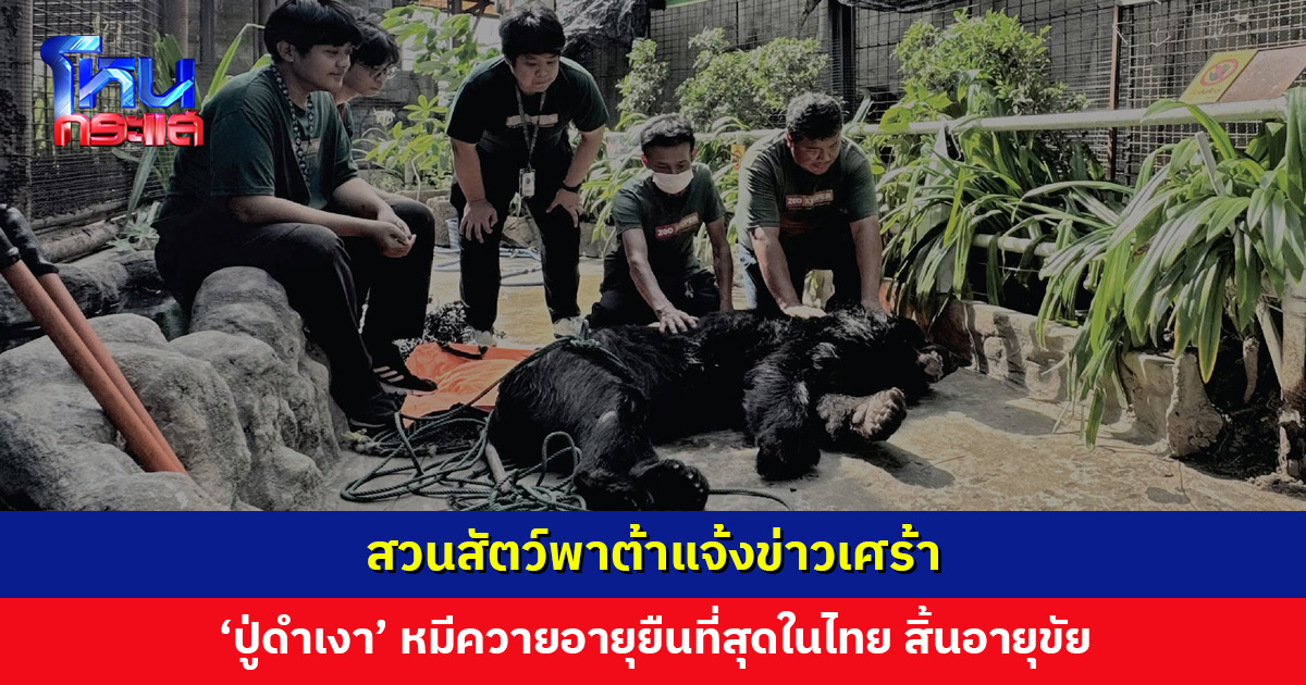 สวนสัตว์พาต้าแจ้งข่าวเศร้า ‘ปู่ดำเงา’ หมีควายอายุยืนที่สุดในไทย สิ้นอายุขัยแล้ว