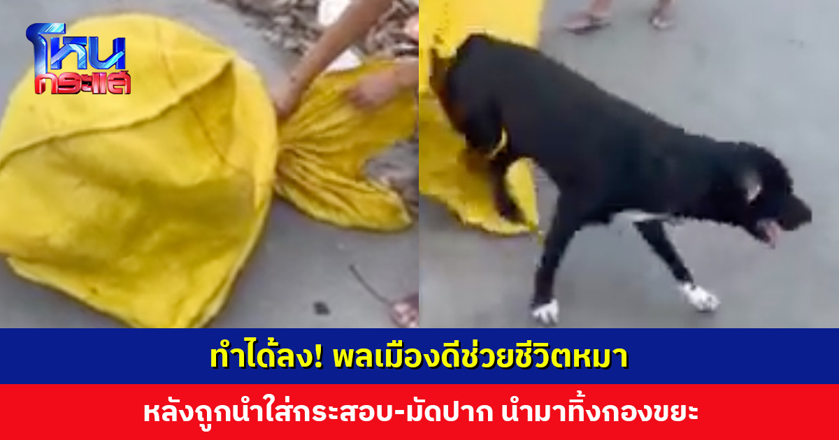 ทำได้ลง! พลเมืองดีช่วยชีวิตหมา หลังถูกนำใส่กระสอบ-มัดปาก นำมาทิ้งกองขยะ