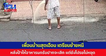 เลิกกี่โมง? เพื่อนบ้านสุดเอือม เตรียมย้ายหนี หลังป้าให้อาหารนกรับปากจะเลิก แต่ยังโปรยไม่หยุด
