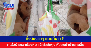 ทิ้งกันง่ายๆ แบบนี้เลย? เอาลูกหมา 2 ตัวยัดใส่ถุง ห้อยไว้หน้ารั้วบ้านคนอื่น
