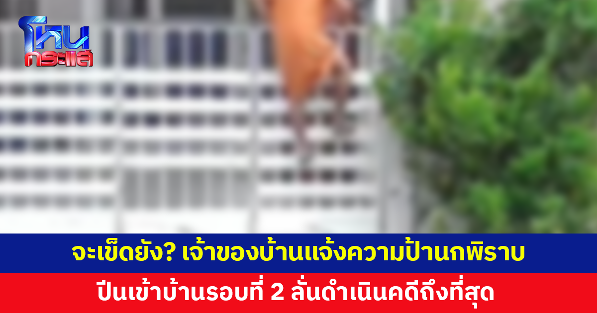 รอบนี้จะเข็ดไหม? เจ้าของบ้านแจ้งความป้านกพิราบปีนเข้าบ้านรอบที่ 2 ลั่นไม่รับเงินชดใช้
