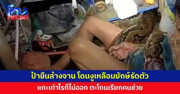 ช็อก! ป้ายืนล้างจาน งูเหลือมยักษ์โผล่กัดขา รัดตัวจนดิ้นไม่ได้ ตะโกนเรียกคนช่วย