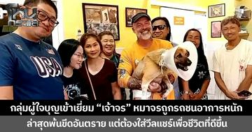กลุ่มผู้ใจบุญเข้าเยี่ยม “เจ้าจร” หมาจรถูกรถชนอาการหนัก  ล่าสุดพ้นขีดอันตราย แต่ต้องใส่วีลแชร์เพื่อชีวิตที่ดีขึ้น