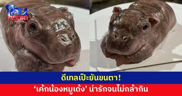 ทำถึงมาก! 'เค้กน้องหมูเด้ง' ดีเทลแน่นยันขนตา เหมือนเป๊ะจนไม่กล้ากิน