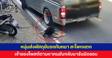 น้องหมานอนเล่นหน้าบ้าน หนุ่มส่งพัสดุมองไม่เห็น ขับรถทับ กระดูกสะโพกแตก