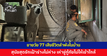 สุนัขเฝ้าร่างยายวัย 77 ไม่ห่าง หลังเสียชีวิตตามลำพังในบ้าน