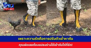 เพราะความรักคือการปรับตัว... พ่อเลยต้องแปลงร่างให้เข้ากับไก่ที่รัก! ลูกสาวถาม “พ่อยังปกติไหม ?”