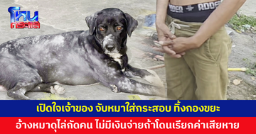 เปิดใจเจ้าของ 'เฉาก๊วย' จับใส่กระสอบ ทิ้งกองขยะ อ้างหมาดุไล่กัดคน