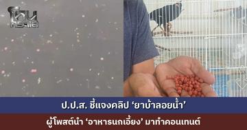 ป.ป.ส. ชี้แจงคลิป ‘ยาบ้าลอยน้ำ’ ยืนยันไม่ใช่ยาเสพติด เป็นอาหารนกเอี้ยงที่ถูกนำมาสร้างคอนเทนต์