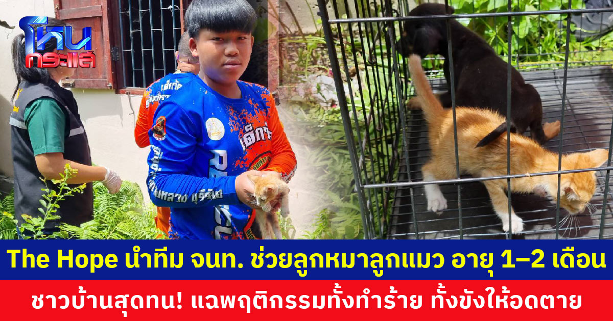 มูลนิธิ The Hope Thailand นำทีมเจ้าหน้าที่ช่วยลูกหมาลูกแมว อายุ 1–2 เดือน ชาวบ้านสุดทนพฤติกรรม แฉชอบเอามาเลี้ยงไว้ขาย ขายไม่ได้ก็ทุบตี จับเหวี่ยงใส่กำแพง