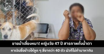 ขายม้าเลี้ยงหมา! หญิงวัย 47 ปี สารภาพทั้งน้ำตา หาเงินซื้อข้าวให้ลูก ๆ สี่ขากว่า 40 ตัว