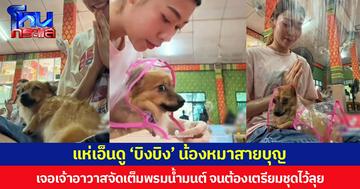 แห่เอ็นดู ‘บิงบิง’ น้องหมาสายบุญ เจอเจ้าอาวาสจัดเต็มพรมน้ำมนต์ จนต้องเตรียมชุดไว้ลุย