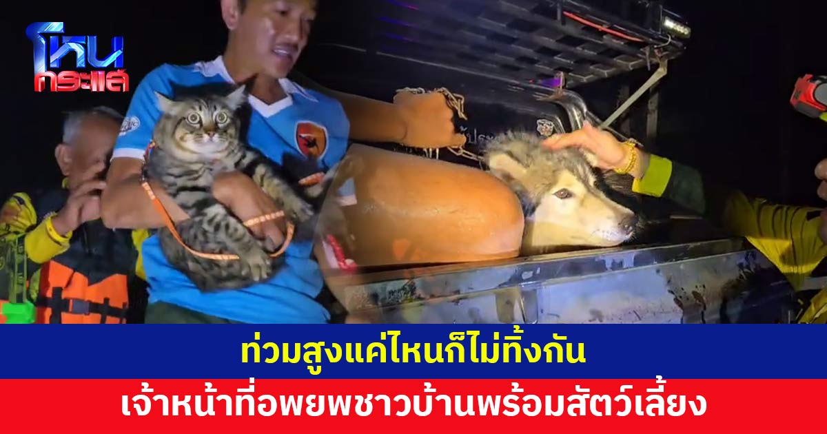สารภี เชียงใหม่น้ำท่วมสูง เจ้าหน้าที่อพยพชาวบ้าน พร้อมน้องแมว-หมา-กระต่าย