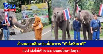 ช้างหลายเชือกร่วมใส่บาตร “หัวใจรักชาติ” ส่งกำลังใจให้ทหารชายแดนไทย-กัมพูชา