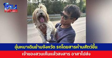 เราจะไม่ทิ้งกัน! อุ้มน้องหมาเดินข้ามจังหวัด หลังรถโดยสารไม่ให้เอาสัตว์ขึ้น