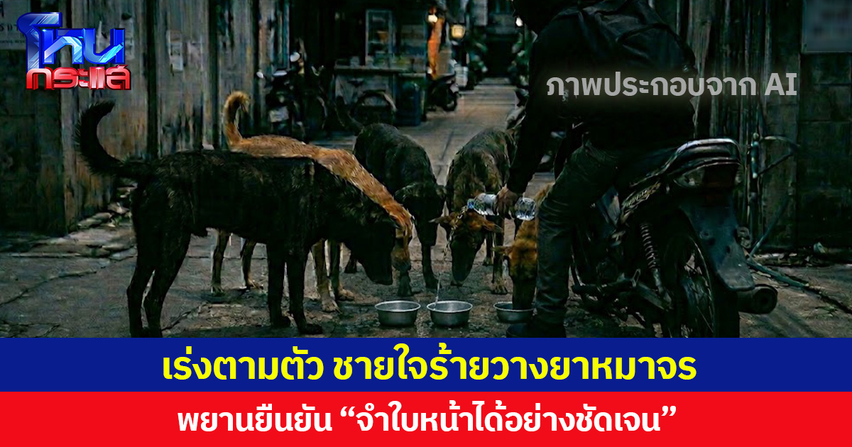 เร่งตามตัว ชายใจร้ายวางยาหมาจร พยานยืนยัน “จำใบหน้าได้อย่างชัดเจน”