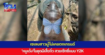 หนูเซ็กซี่มั้ยคะ! 'หมูเด้ง' อินเทรนด์ชุดผีเสื้อ ชาวเน็ตแห่แซวเสื้อจิ๋วปิดน้องไม่มิด