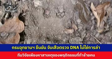 กรมอุทยานฯ ยืนยัน! ภารกิจจับเสือตรวจ DNA ไม่ใช่การล่า ไม่มีการทำร้ายแน่นอน