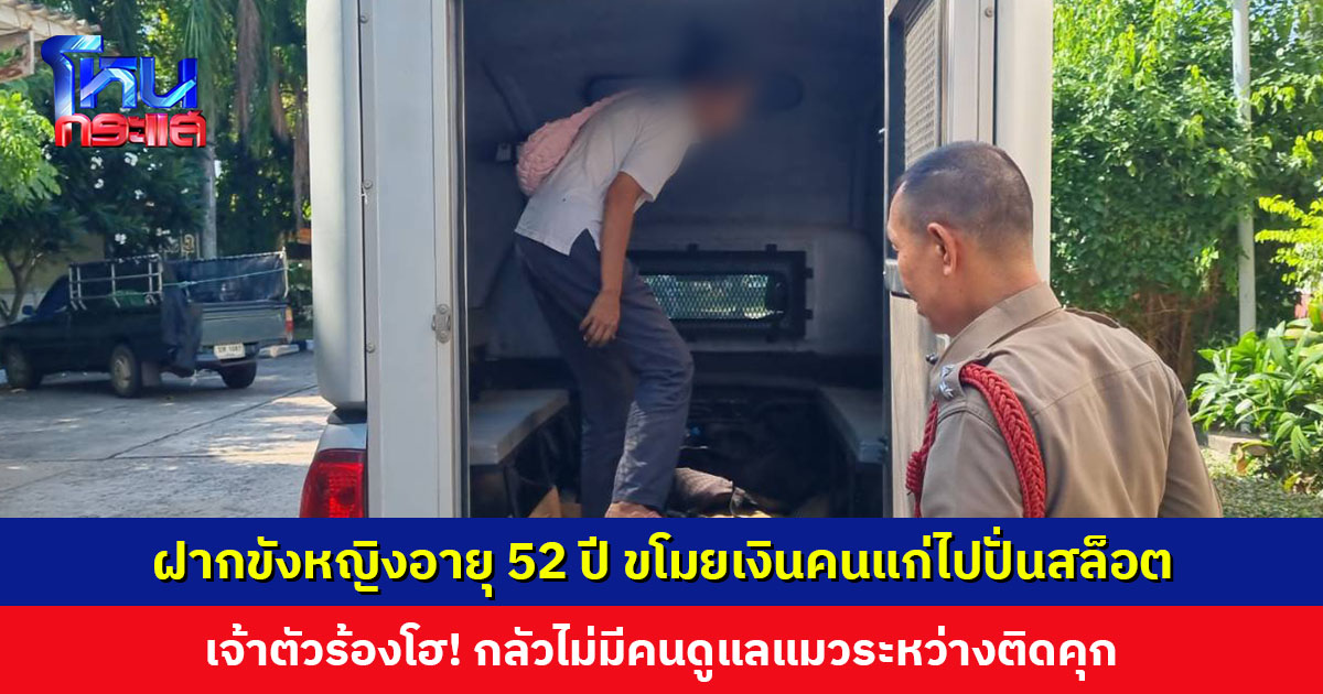 ฝากขังหญิงอายุ 52 ปี ขโมยเงินคนแก่ติดเตียง เอาไปปั่นสล็อต เจ้าตัวร้องไห้สำนึกผิด กลัวไม่มีคนดูแลแมว