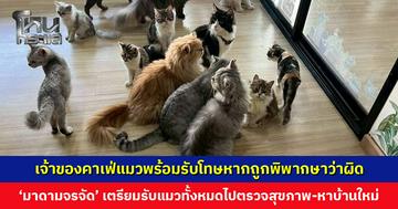 เจ้าของคาเฟ่แมวพร้อมยอมรับโทษหากถูกพิพากษาว่าผิด ‘มาดามจรจัด’ เตรียมรับแมวทั้งหมดไปตรวจสุขภาพและช่วยหาบ้านใหม่