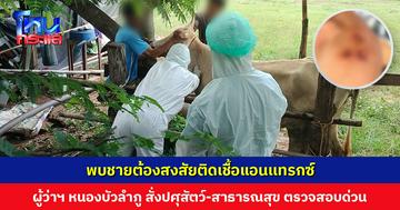 พบชายต้องสงสัยติดเชื้อแอนเเทรกซ์ หลังเปิบก้อยดิบ ผู้ว่าฯ หนองบัวลำภู สั่งปศุสัตว์-สาธารณสุข ตรวจสอบด่วน