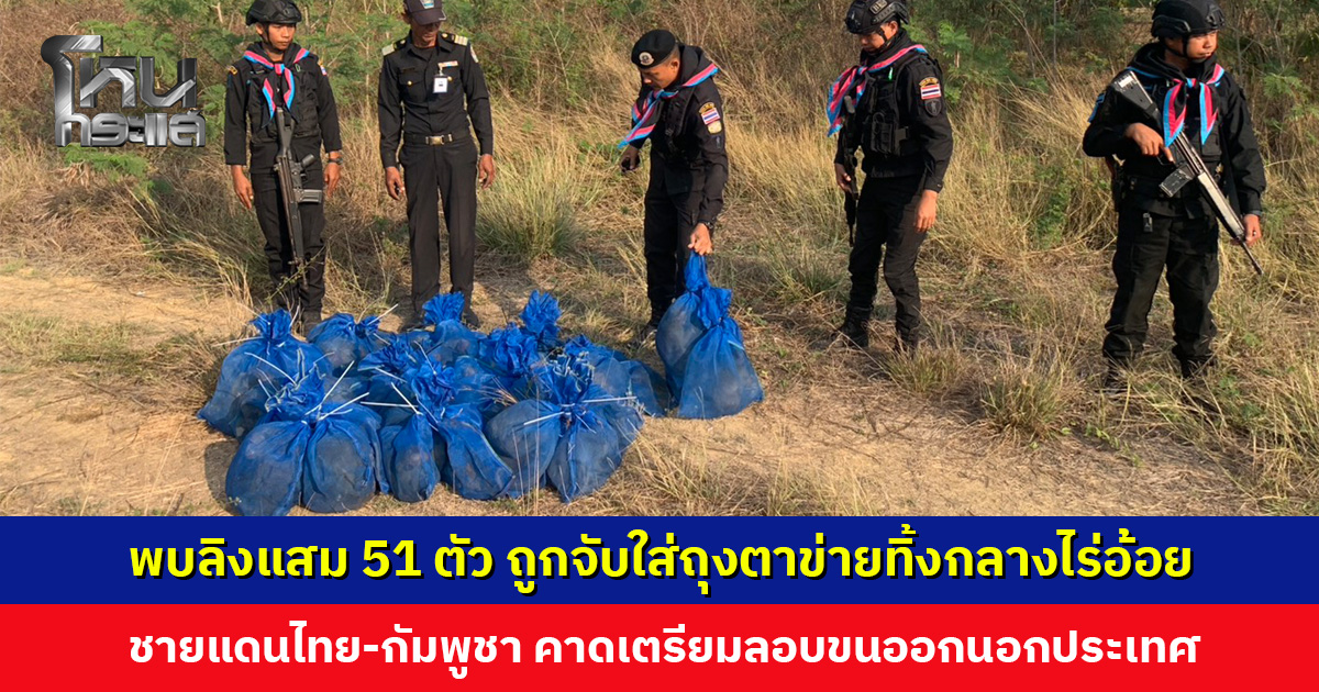 พบลิงแสม 51 ตัว ถูกจับใส่ถุงตาข่าย ชายแดนไทย-กัมพูชา คาดเตรียมลอบขนออกนอกประเทศ