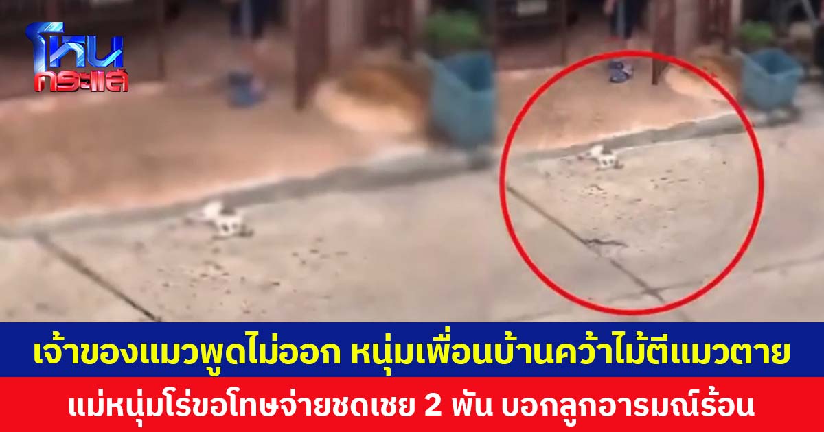 เจ้าของแมวพูดไม่ออก หนุ่มเพื่อนบ้านคว้าไม้ตีแมวตาย  แม่หนุ่มโร่ขอโทษจ่ายชดเชย 2 พัน บอกลูกอารมณ์ร้อน