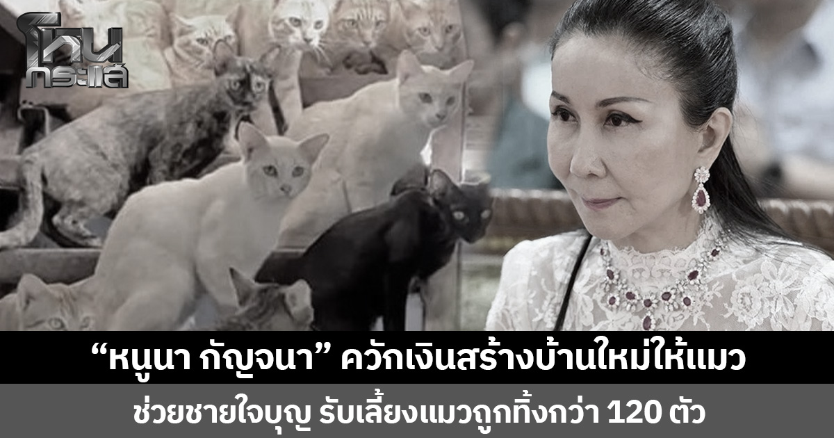 ทาสแมวปลื้ม “หนูนา กัญจนา” ควักเงินสร้างบ้านใหม่ให้แมว ช่วยชายใจบุญ รับเลี้ยงแมวถูกทิ้งกว่า 120 ตัว