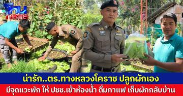 เก๋มาก! ตำรวจทางหลวงวังน้ำเขียว โคราช ปลูกผักสวนครัวเอง ประชาชนขับรถผ่านมา แวะพักเข้าห้องน้ำ ดื่มกาแฟ เก็บผักได้ด้วย ตำรวจบริการฟรี