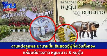 งานแต่งแห่งปี “หมูตุ๋น & หมูมะนาว” สินสอดสมศักดิ์ศรี เงินสดปึกใหญ่ ทองแท่งอีกกองโต