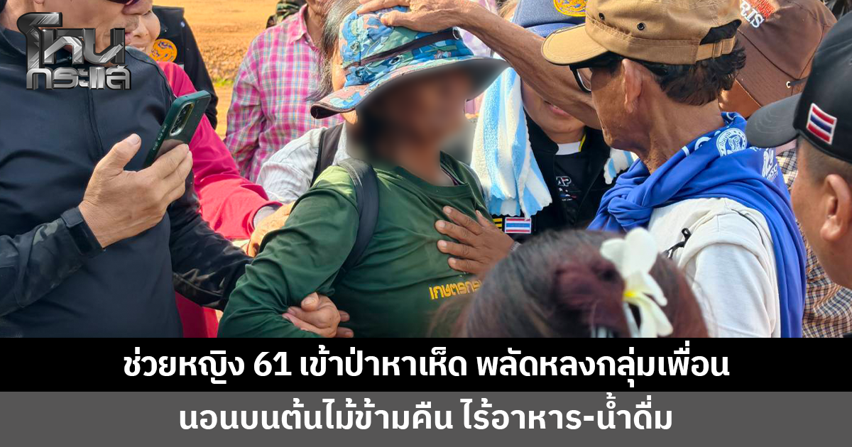 หญิงวัย 61 เข้าป่าหาเห็ด พลัดหลงกลุ่มเพื่อน ต้องปีนนอนบนต้นไม้ข้ามคืน ไร้อาหาร-น้ำดื่ม
