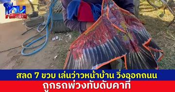 สลด ด.ช. 7 ขวบ เล่นว่าวหน้าบ้าน วิ่งเพลินออกถนน ถูกรถพ่วงทับดับคาที่