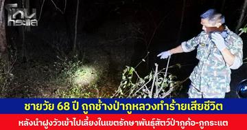 ชายวัย 68 ปี ถูกช้างป่าภูหลวง ทำร้ายจนเสียชีวิต หลังนำฝูงวัวเข้าไปเลี้ยงในเขตรักษาพันธุ์สัตว์ป่าภูค้อ-ภูกระแต