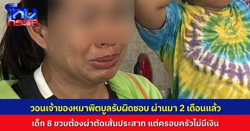 พ่อแม่สุดช้ำ ลูกสาววัย 8 ขวบถูกหมาพิตบูลกัด เจ็บหนัก ใบหน้าเบี้ยว หูไม่ได้ยินผ่านมา / เดือน เจ้าของหมายังช่วยมาแค่ 4 พัน เจรจาค่าเสียหายกันไม่ลงตัว