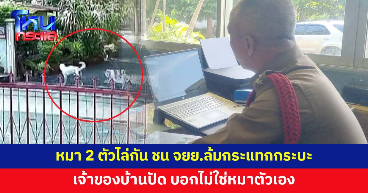 หมา 2 ตัววิ่งไล่กัน ชนจักรยานยนต์ล้มกระแทกกระบะ เจ้าของบ้านปัด ไม่ใช่หมาตัวเอง