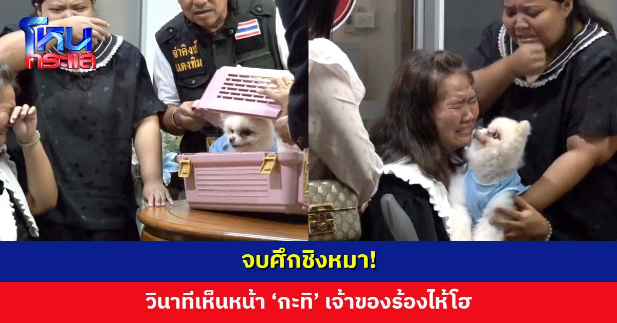 จบศึกชิงหมา! วินาทีเห็นหน้า ‘กะทิ’ เจ้าของร้องไห้โฮ