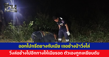 ออกไปกรีดยางกับเมีย เจอช้างป่าวิ่งไล่ ยอมวิ่งล่อช้างไปอีกทางให้เมียรอด สุดท้ายตัวเองถูกเหยียบเสียชีวิต
