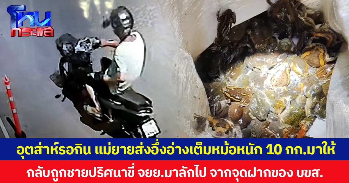 อุตส่าห์ตั้งตารอกิน แม่ยายส่งอึ่งอ่างเต็มหม้อหนัก 10 กก.มาให้  กลับถูกชายปริศนาขี่ จยย.มาลักไป จากจุดฝากของ บขส