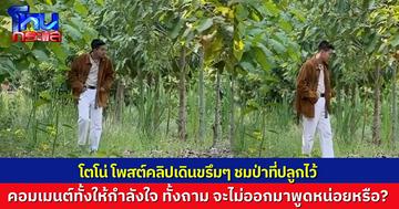 โตโน่ ภาคิน โพสต์คลิปเดินชมป่าที่ปลูกเอง ชาวเน็ตแห่คอมเมนต์ มีทั้งให้กำลังใจและเรียกร้องให้ออกมาพูดหน่อย