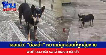 เจอแล้ว! “น้องดำ” หมาแม่ลูกอ่อนที่ถูกอุ้มหาย พบที่ มอ.ตรัง รอเจ้าของมารับตัว