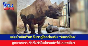 แม่นยำเกินต้าน! ลืมตาดูโลกต้อนรับ "วันแรดโลก" (22 ก.ย.) "เจ้าตัวจิ๋ว" ตัวตึงตัวใหม่สวนสัตว์เปิดเขาเขียว เตรียมเปิดโหวตตั้งชื่อ