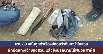 ชายวัย 60 แค้นถูกด่าเรื่องปล่อยวัวกินหญ้าในสวน ชักมีดแทงเจ้าของสวน แล้วยังขี่รถตามไล่ฟันจนสาหัส