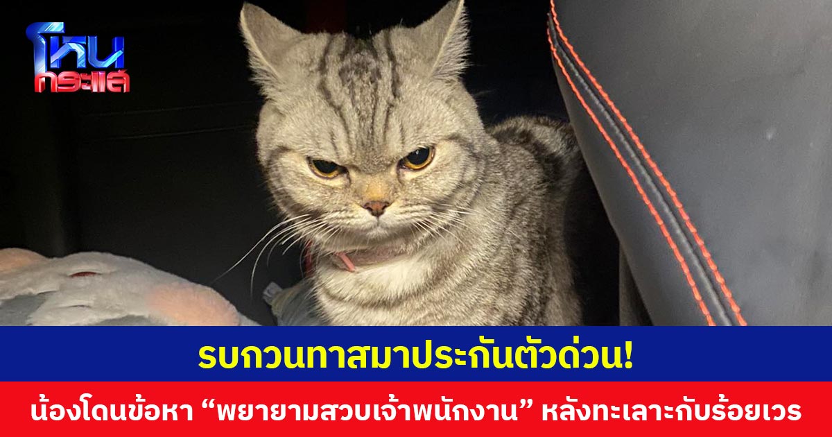 รบกวนทาสมาประกันตัวด่วน!  น้องโดนข้อหา “พยายามสวบเจ้าพนักงาน” หลังทะเลาะกับร้อยเวร