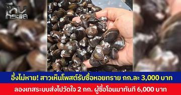 อึ้งไม่หาย! สาวเห็นโพสต์รับซื้อหอยทราย กก.ละ 3,000 บาท ลองเทสระบบส่งไปวัดใจ 2 กก. ผู้ซื้อโอนมาทันที 6,000 บาท