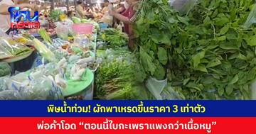 พิษน้ำท่วม! ผักพาเหรดขึ้นราคา 3 เท่าตัว แม่ค้าจำใจลดปริมาณลง พ่อค้าโอด “ตอนนี้ใบกะเพราแพงกว่าเนื้อหมูสดอีก”