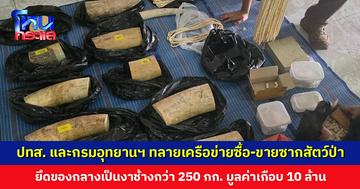 ปทส. ร่วมกับกรมอุทยานฯ ทลายเครือข่ายลักลอบซื้อ-ขายซากสัตว์ป่า ยึดของกลางงาช้างมูลค่าเกือบ 10 ล้าน