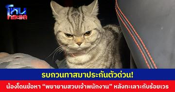 รบกวนทาสมาประกันตัวด่วน!  น้องโดนข้อหา “พยายามสวบเจ้าพนักงาน” หลังทะเลาะกับร้อยเวร